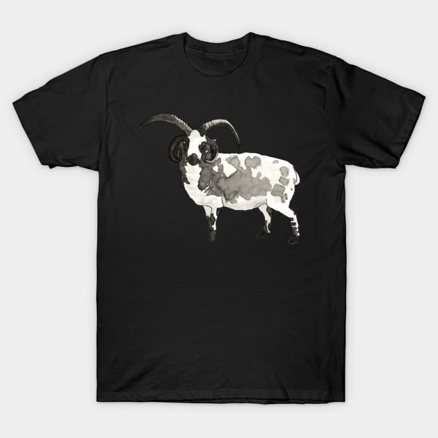 Apocalyptic Dreams of Jacob Sheep T-Shirt by Ciarabarsotti